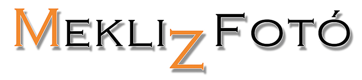 Mekliz_logo_1200.jpg